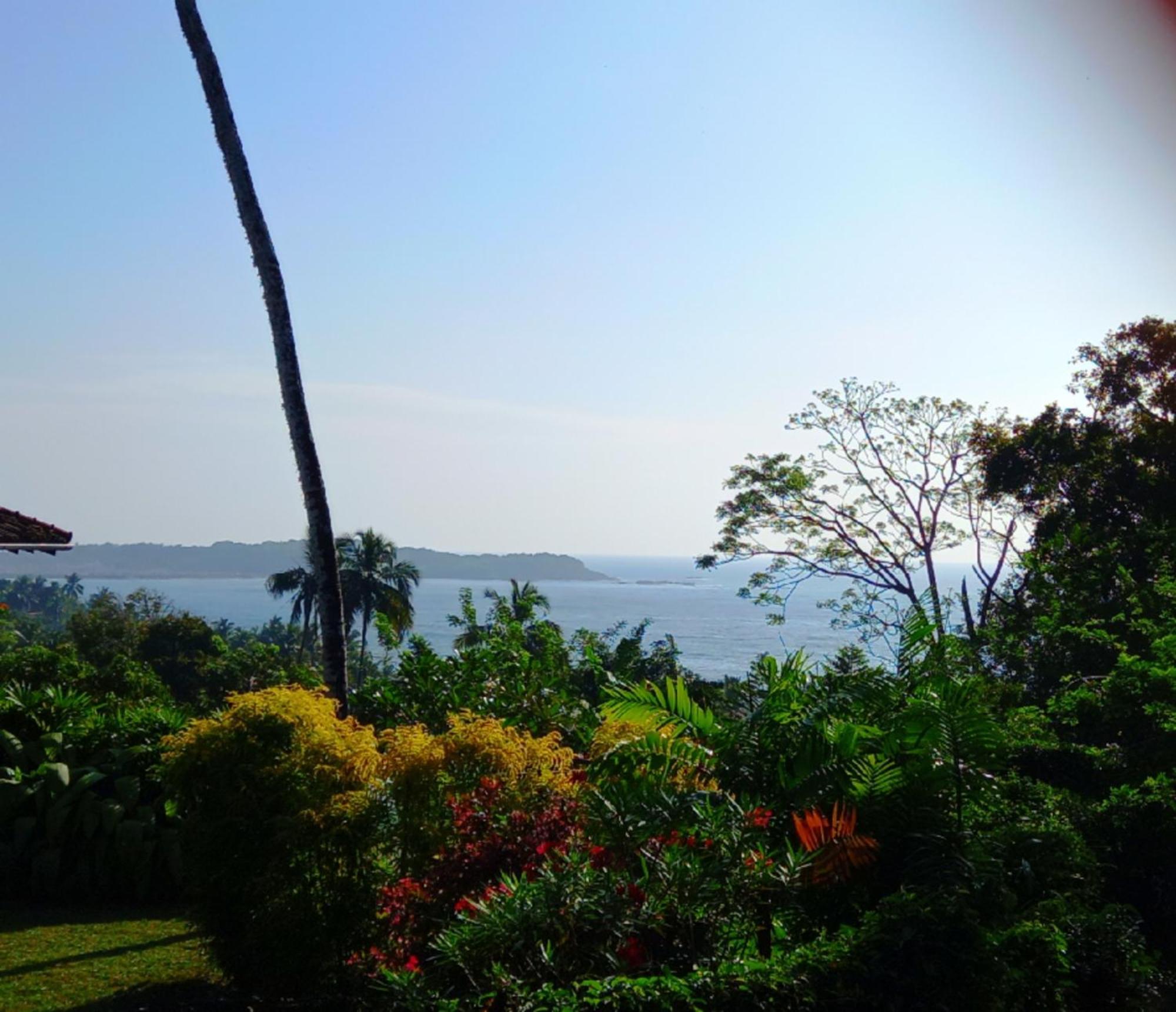 Blue Ocean Tree House Hiriketiya Villa Dikwella Ngoại thất bức ảnh