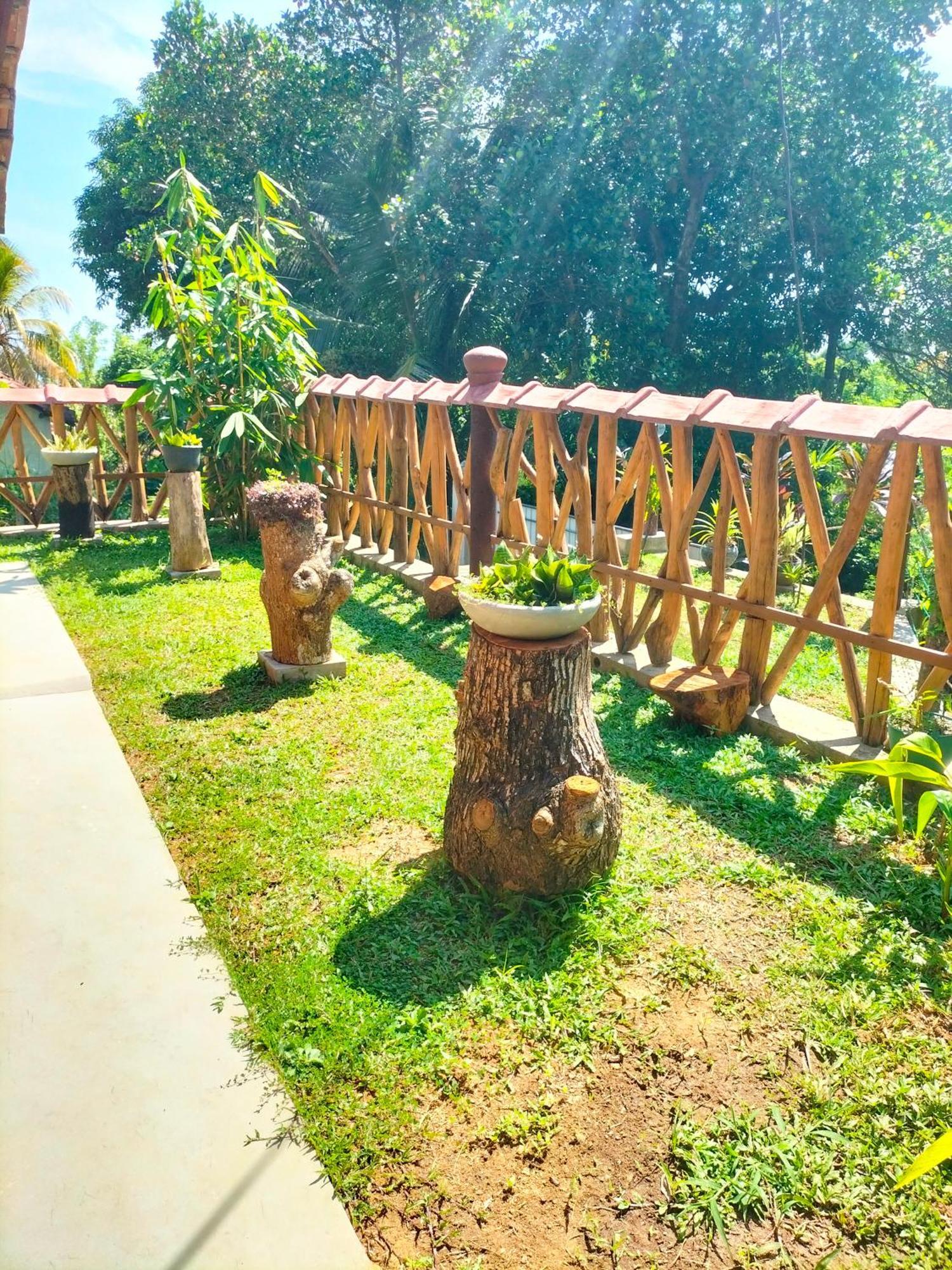 Blue Ocean Tree House Hiriketiya Villa Dikwella Ngoại thất bức ảnh